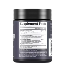 Load image into Gallery viewer, Night Shred AU